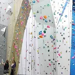 Hirsch * Willingen (Upland)