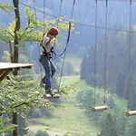 Hirsch Willingen (Upland)