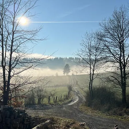 Hirsch Willingen (Upland)