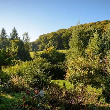 Holiday home Hirsch Willingen (Upland)