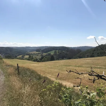 Hirsch * Willingen (Upland)