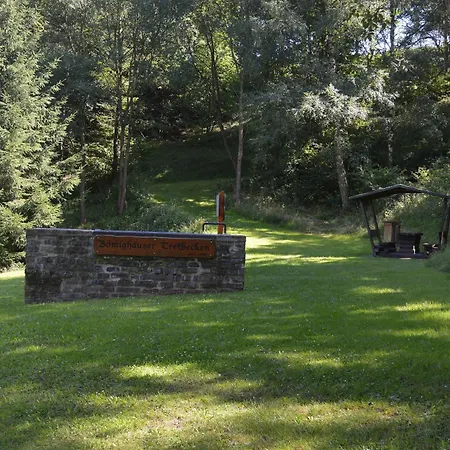 Hirsch *
