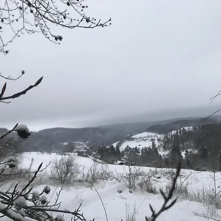 Hirsch Ferienhaus Willingen (Upland)