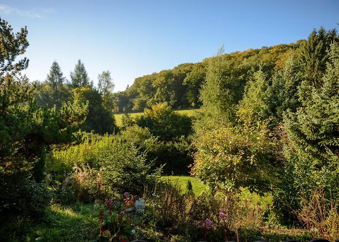 Hébergement de vacances Hirsch Willingen (Upland)