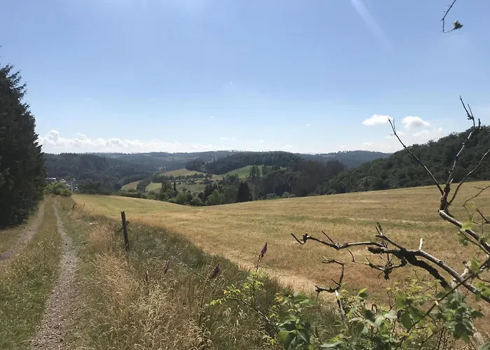 Hirsch * Willingen (Upland)